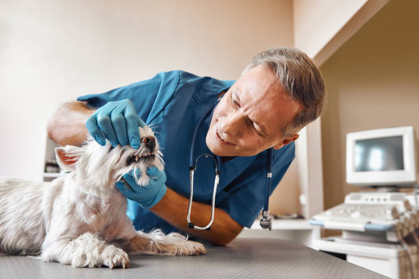 Best Emergency Dental Extractions in USA